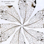 The Pineapple Thief: "3000 Days" – 2009